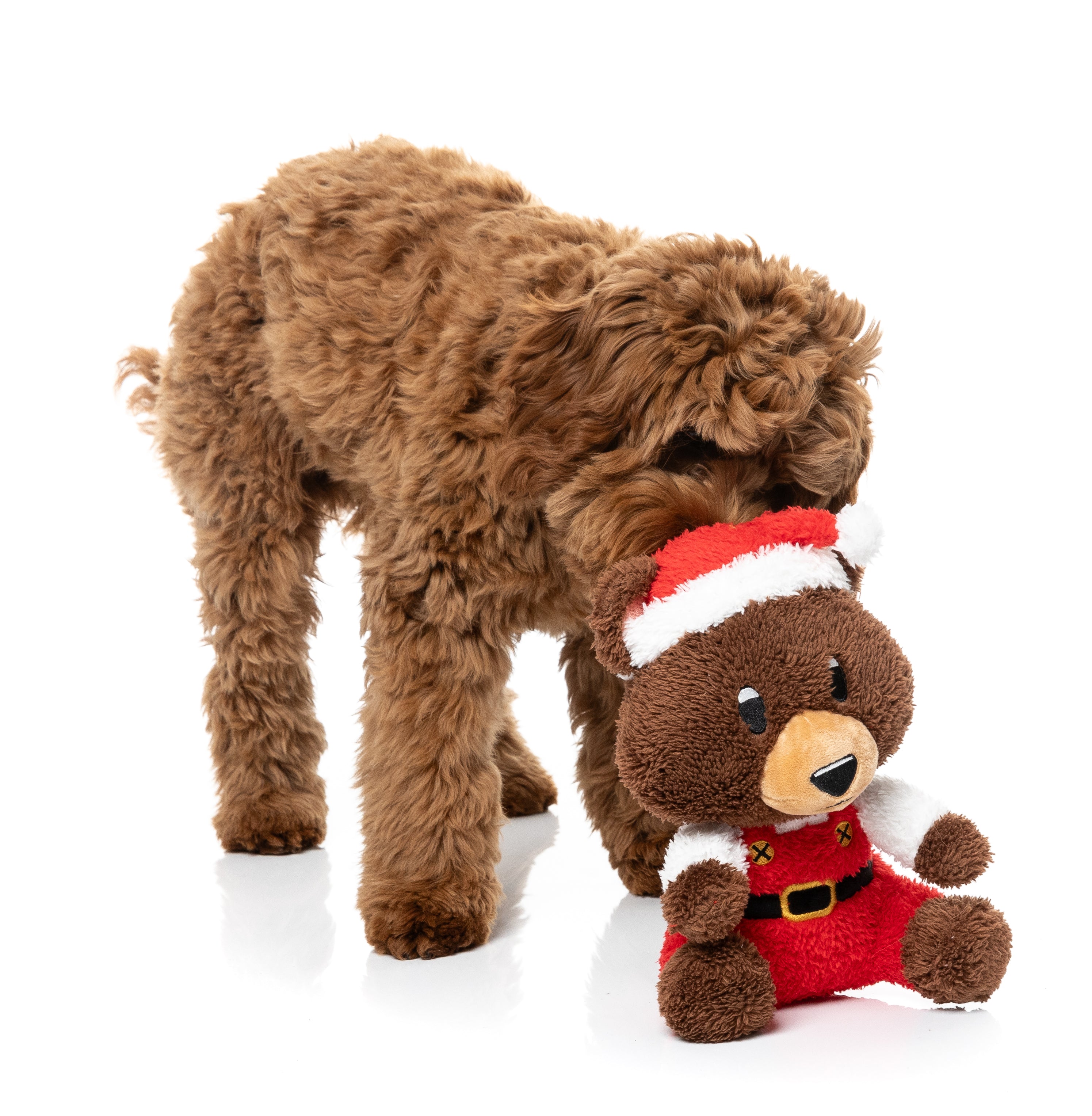Fuzzyard Dog Toy - Santa Fuzz Bear
