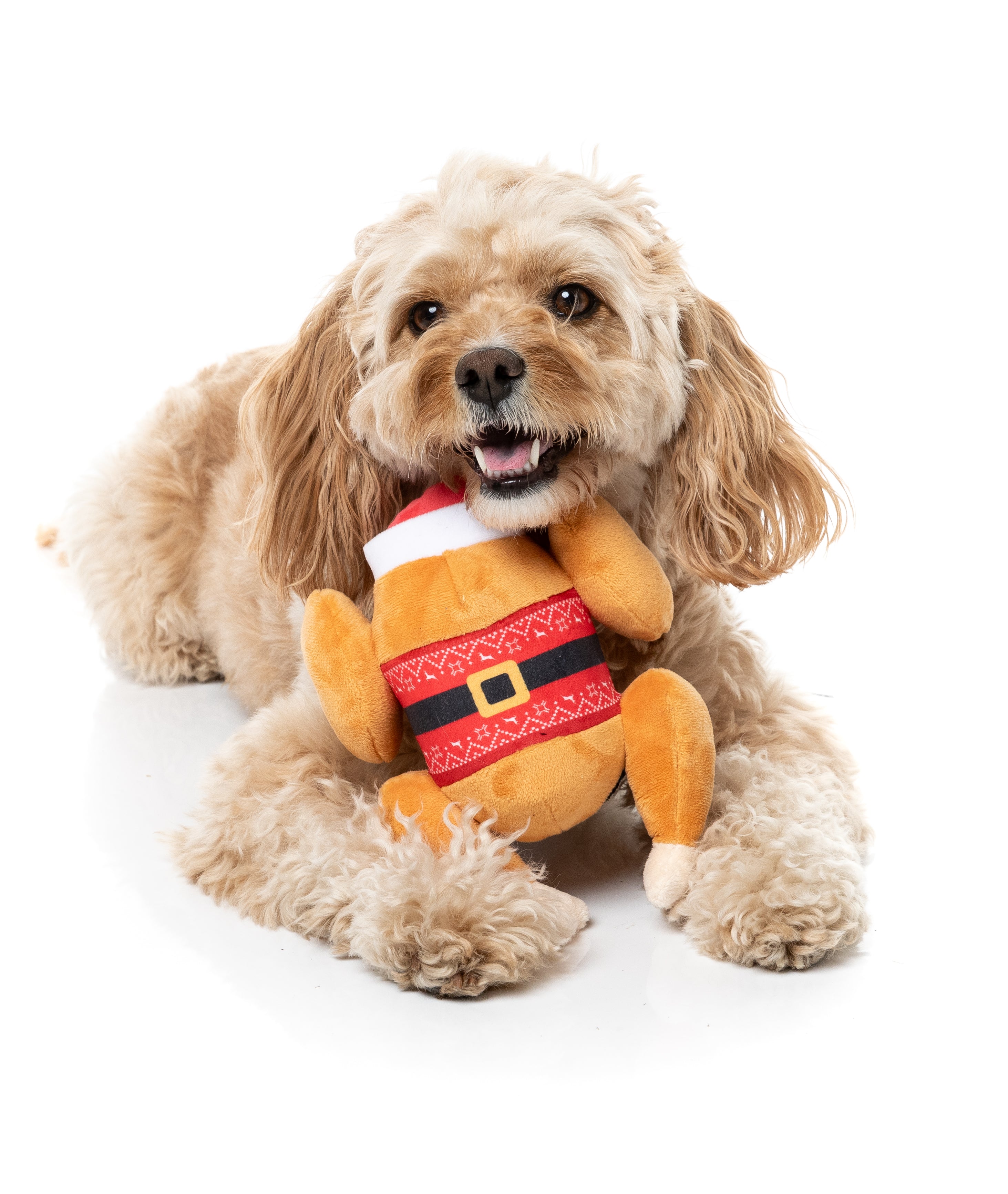 Fuzzyard Dog Toy - Fairisle Turkey
