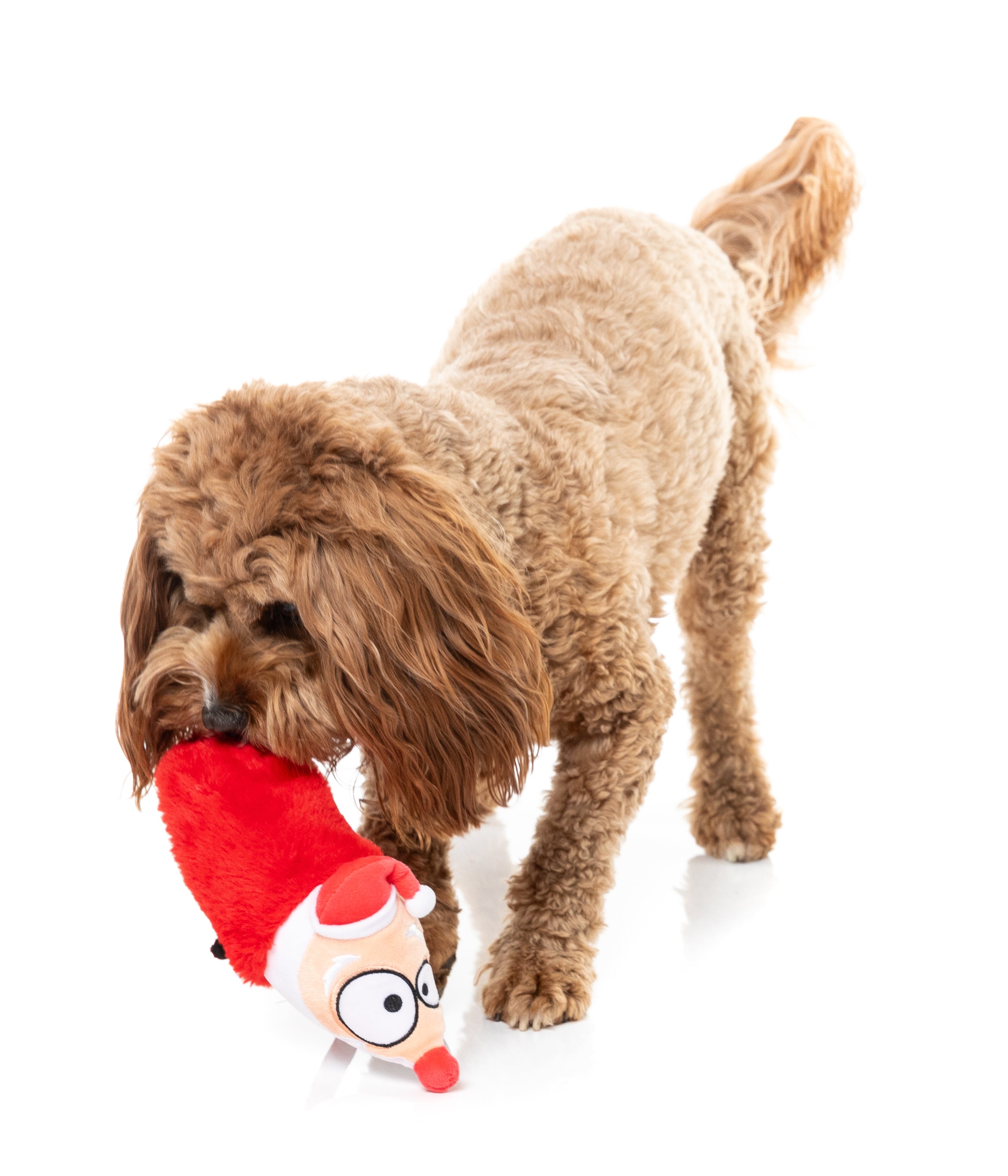 Fuzzyard Dog Toy - So Long Santa