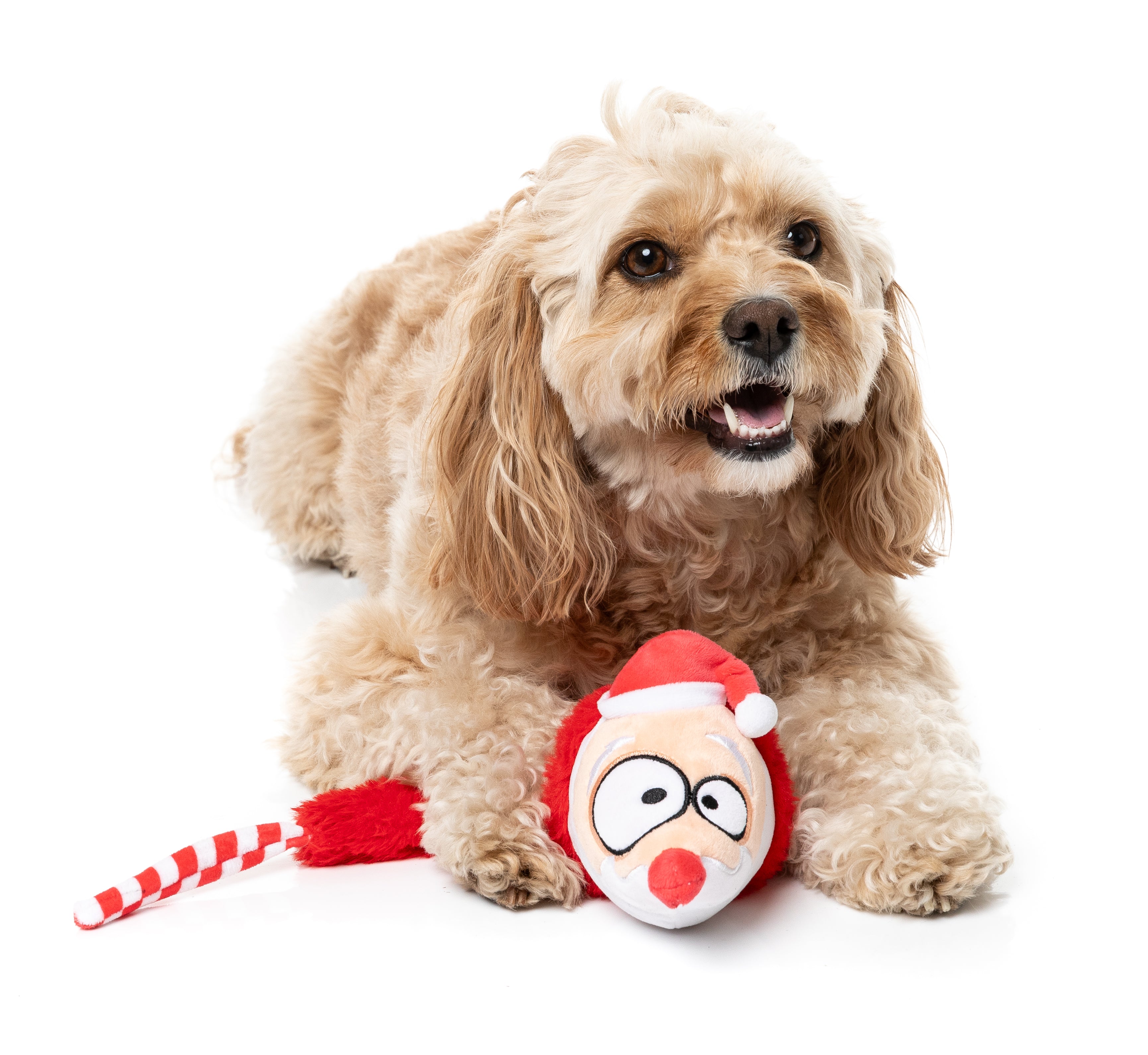 Fuzzyard Dog Toy - So Long Santa