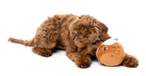 FuzzYard Dog Toy - Hey Puddin