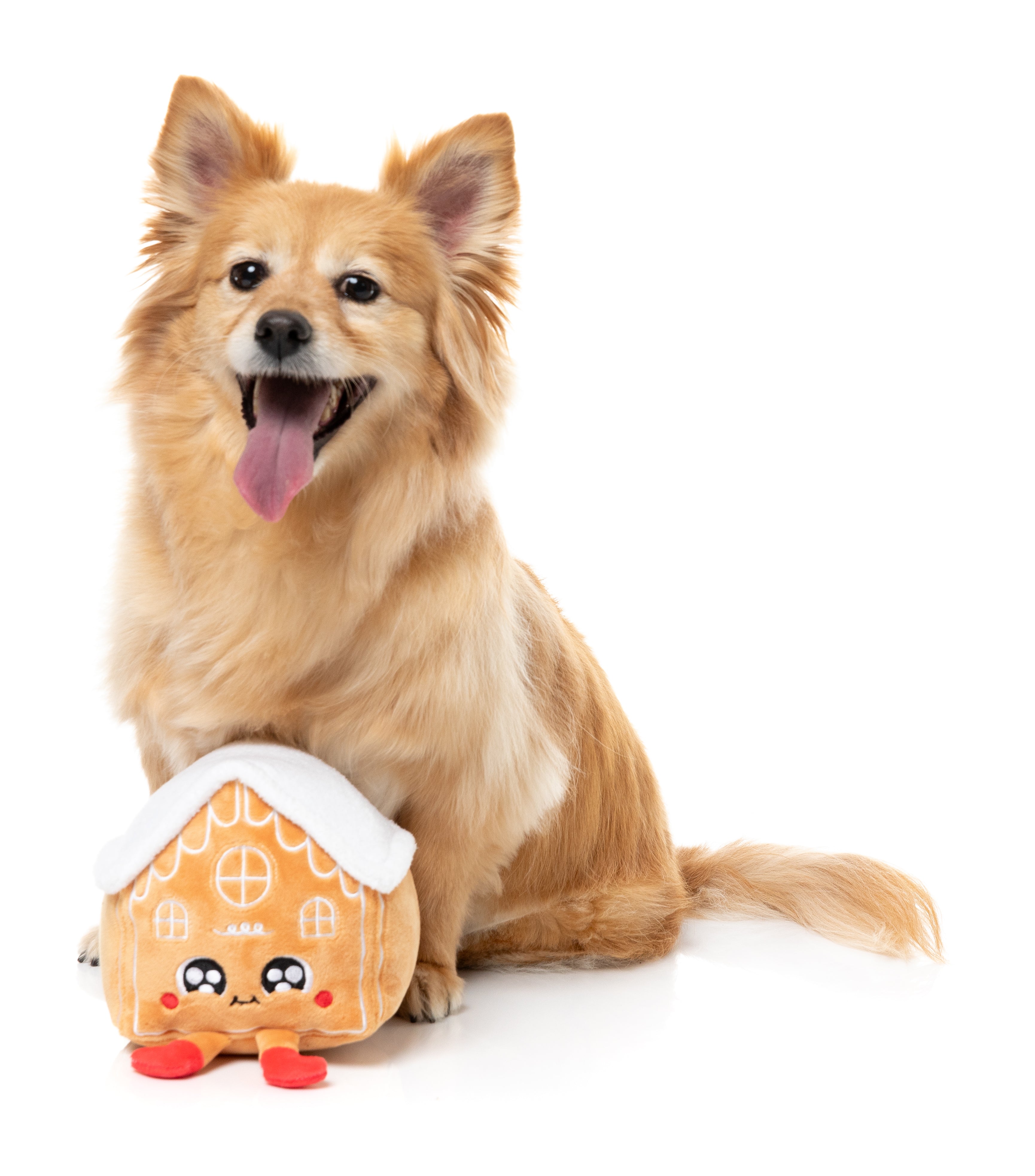 FuzzYard Dog Toy - Holly House