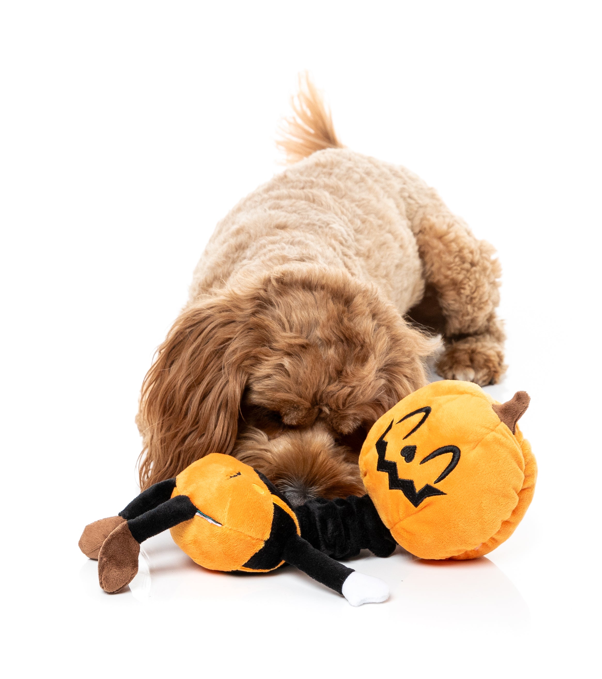 FuzzYard Dog Toy - Michael Gourdan