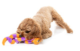 FuzzYard Dog Toy - Sss-Teven-The-Snake