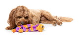 FuzzYard Dog Toy - Sss-Teven-The-Snake