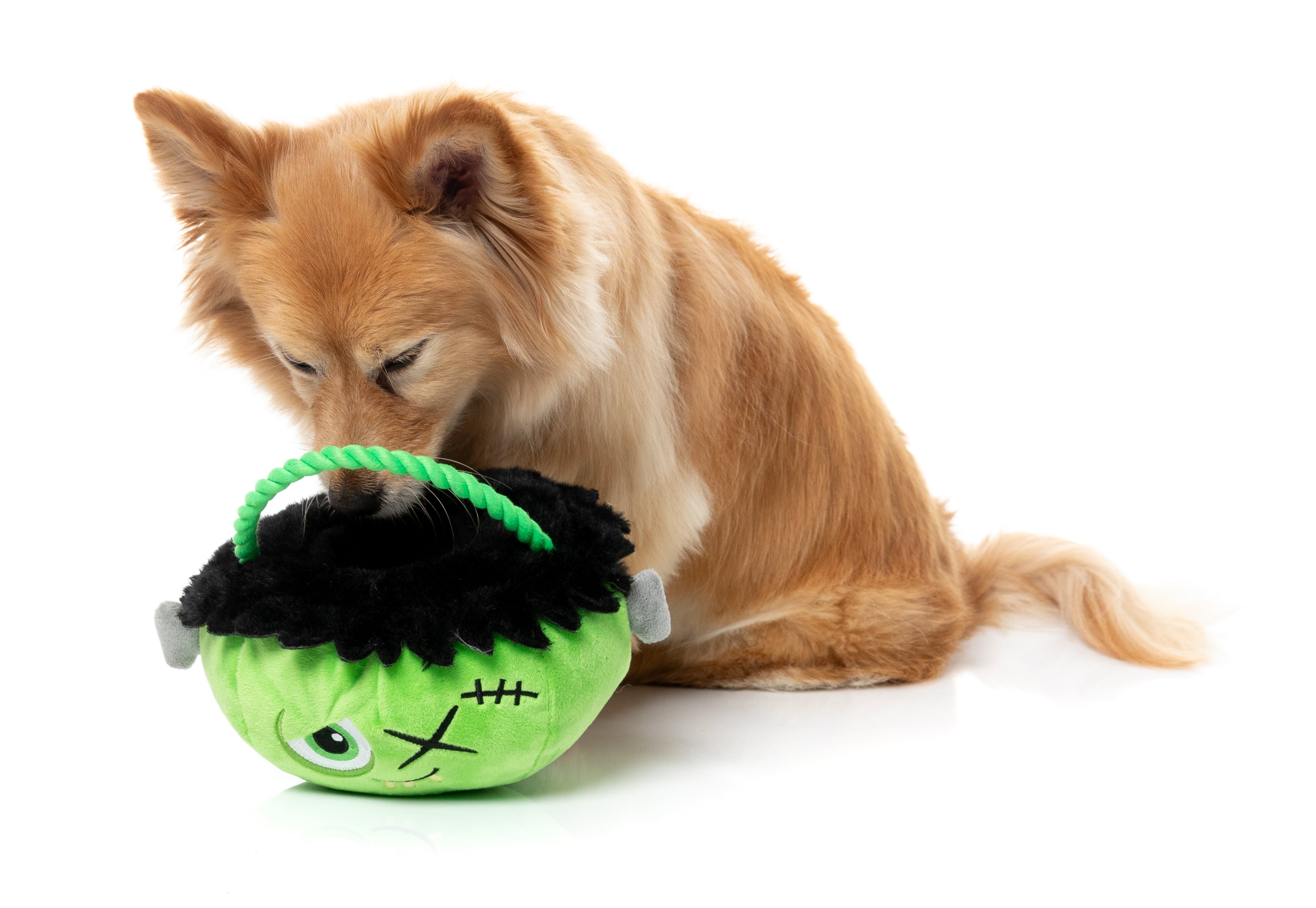 FuzzYard Dog Toy - Franken Basket