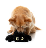 FuzzYard Dog Toy - Webastian The Redback