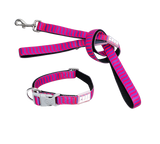 Collar + Lead Walking Set - Vaporwave Berry