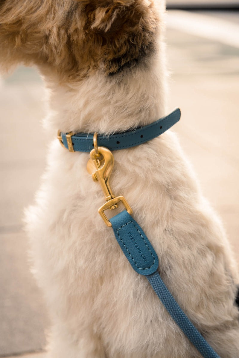 FuzzYard Life Atelier Dog Collar - French Blue