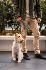 FuzzYard Life Atelier Dog Rope Lead - Myrtle Green