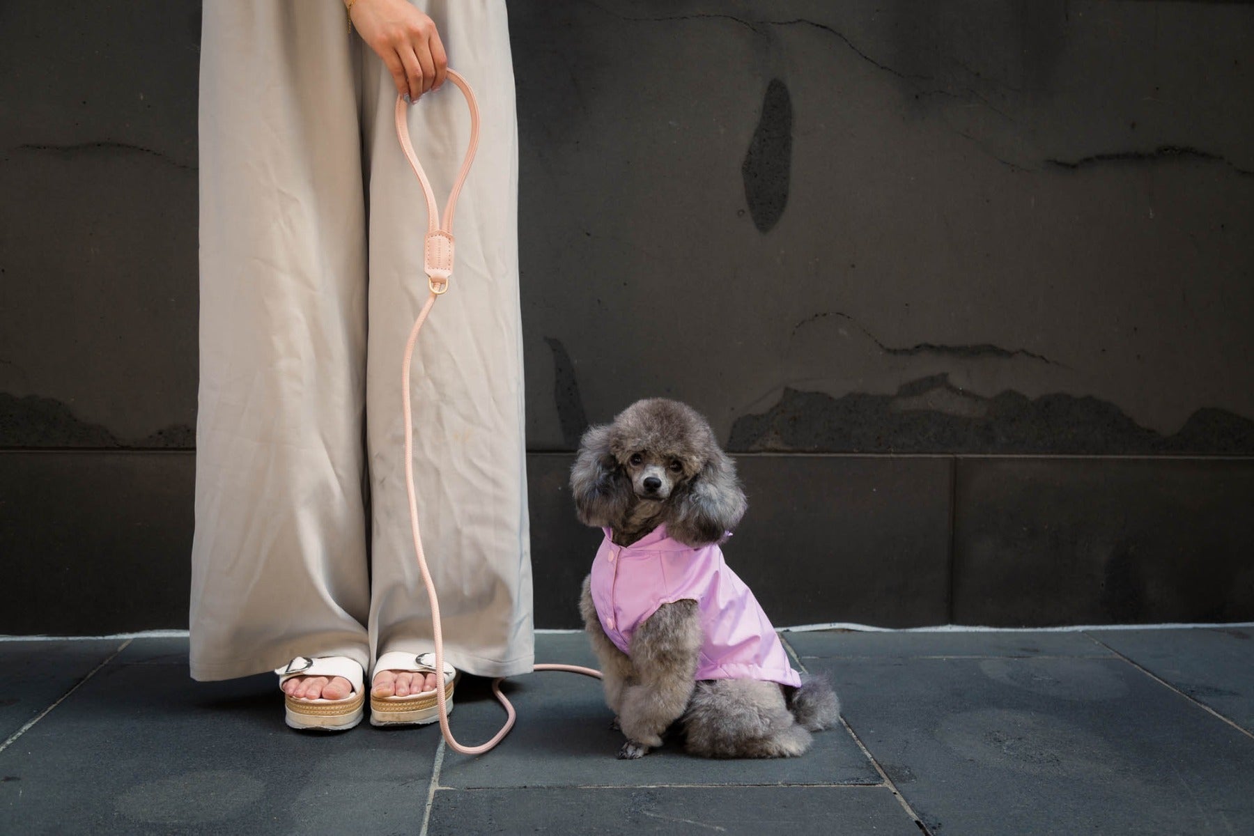 FuzzYard Life Atelier Dog Rope Lead - Soft Blush