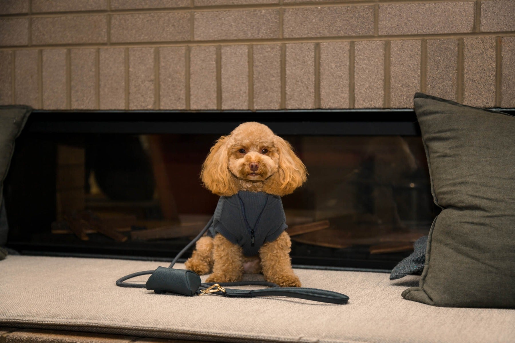 FuzzYard Life Atelier Dog Rope Lead - Slate Grey