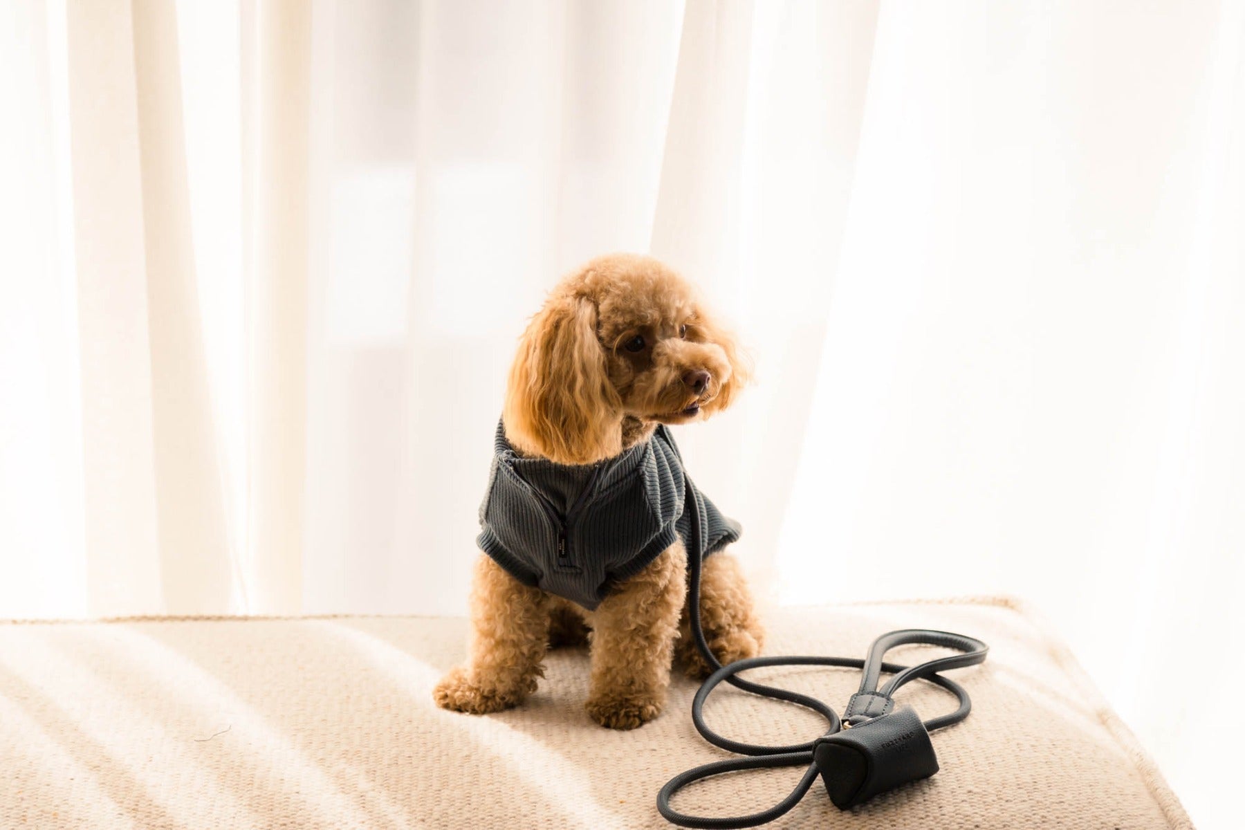 FuzzYard Life Atelier Poop Bag Dispenser - Slate Grey