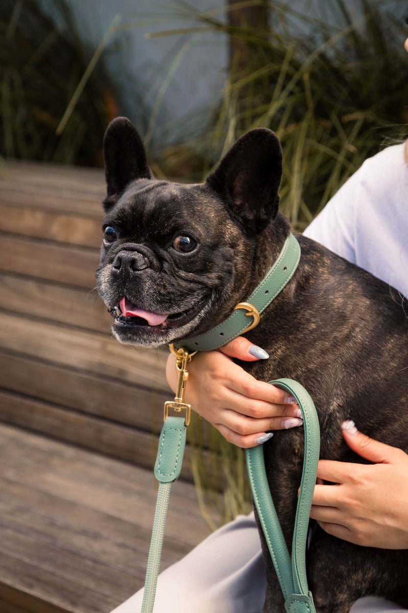 FuzzYard Life Atelier Dog Rope Lead - Myrtle Green