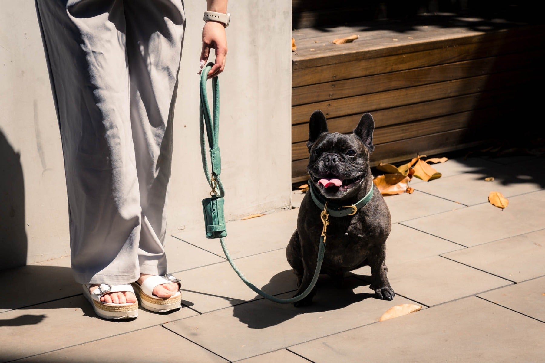 FuzzYard Life Atelier Dog Rope Lead - Myrtle Green