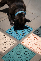 FuzzYard Life Hide & Treat Mat - French Blue