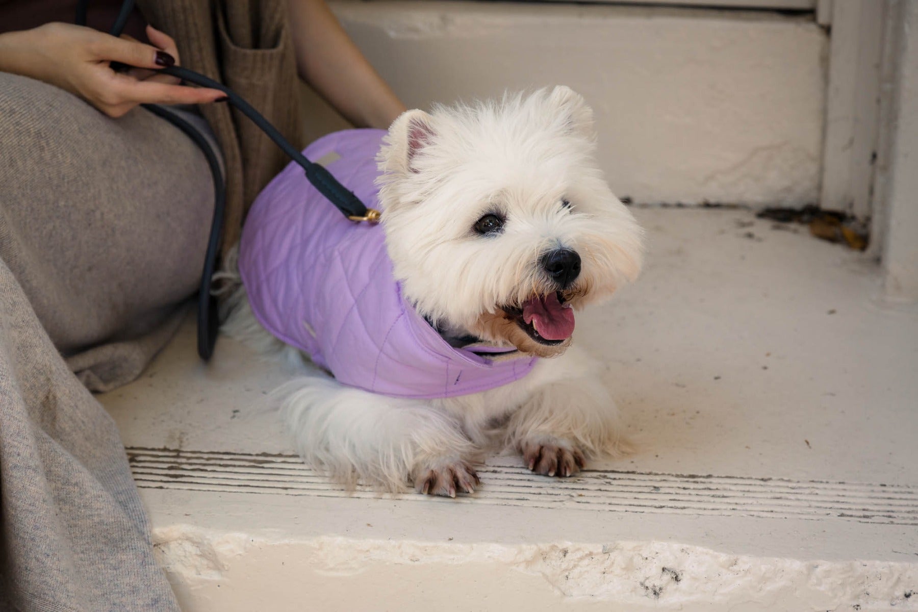 FuzzYard Life Wrap Vest - Lilac