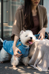 FuzzYard Life Atelier Dog Collar - French Blue