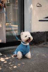 FuzzYard Life Atelier Dog Collar - French Blue