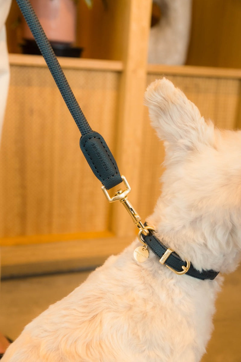 FuzzYard Life Atelier Dog Rope Lead - Slate Grey