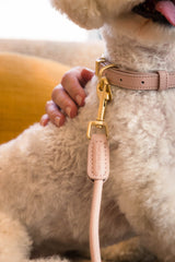 FuzzYard Life Atelier Dog Rope Lead - Soft Blush