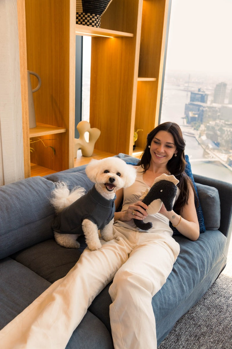 FuzzYard Life Ribbed Sweater - Slate Grey