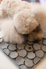 FuzzYard Life Hide & Treat Mat - Sandstone