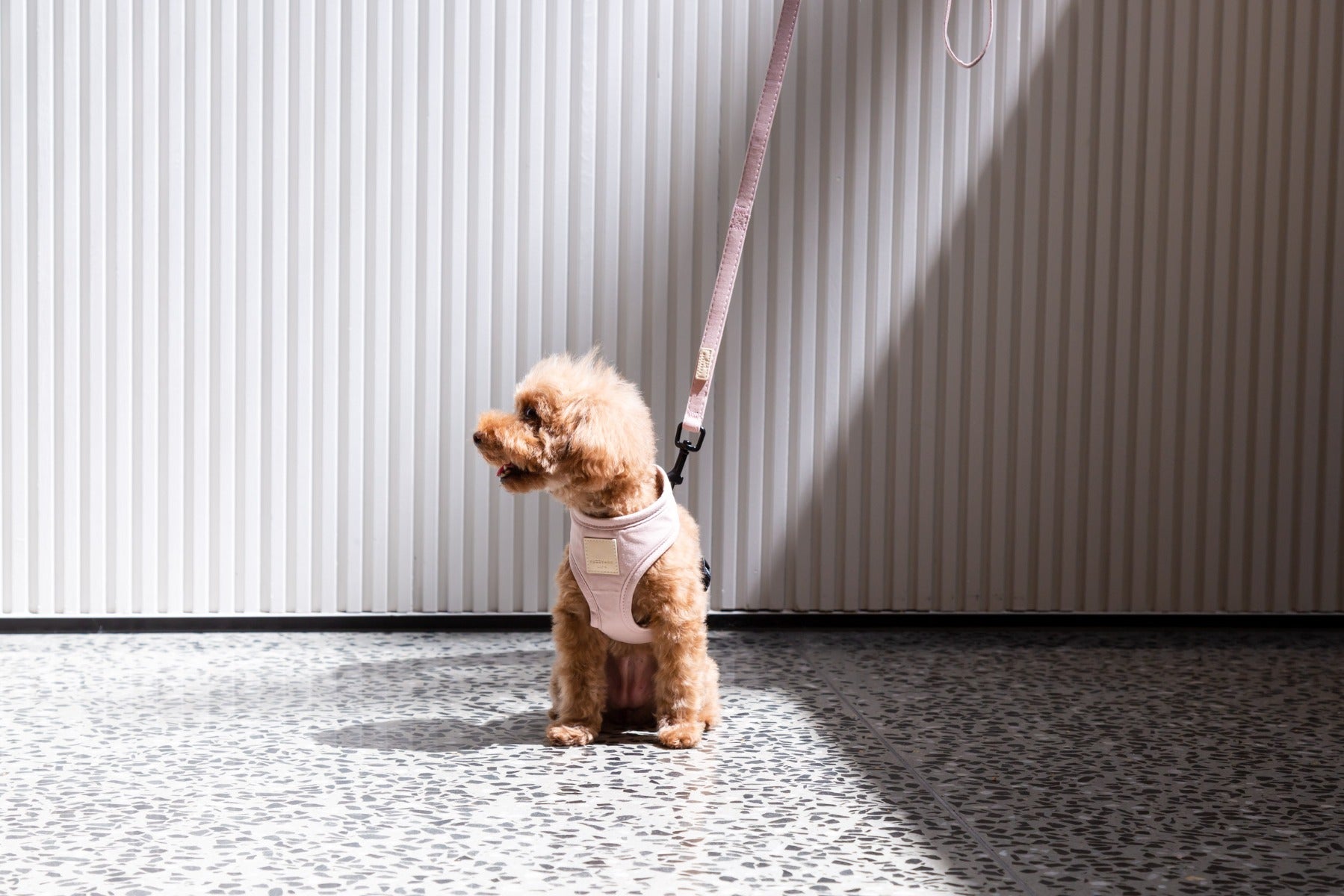 FuzzYard Life Harness - Soft Blush