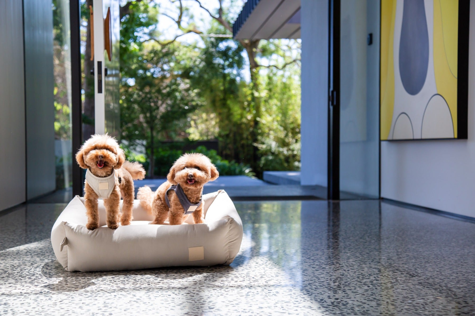 FuzzYard Life Bed - Cotton pet Bed - Sandstone