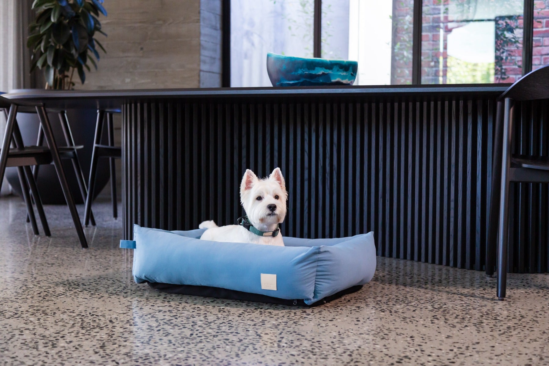 FuzzYard Life Bed - Cotton Pet Bed - French Blue