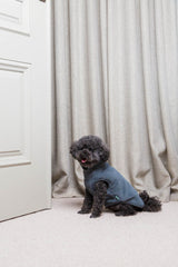 FuzzYard Life Corduroy Jacket - Slate Grey by FuzzYard Life