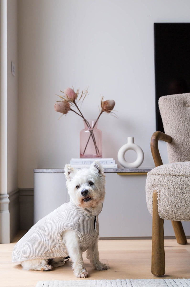 FuzzYard Life Corduroy Jacket - Sandstone by FuzzYard Life