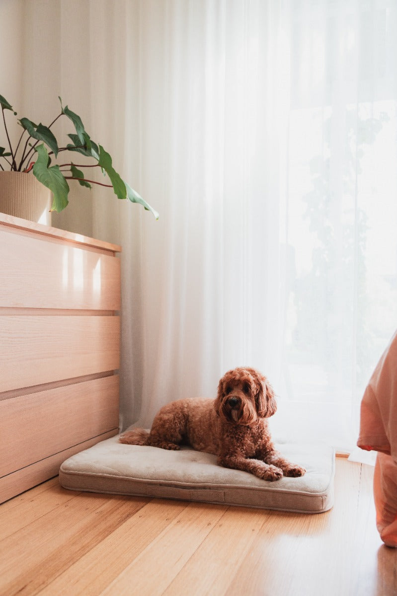 FuzzYard Life Lounge Mat - Sandstone