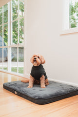 FuzzYard Life Lounge Mat- Slate Grey