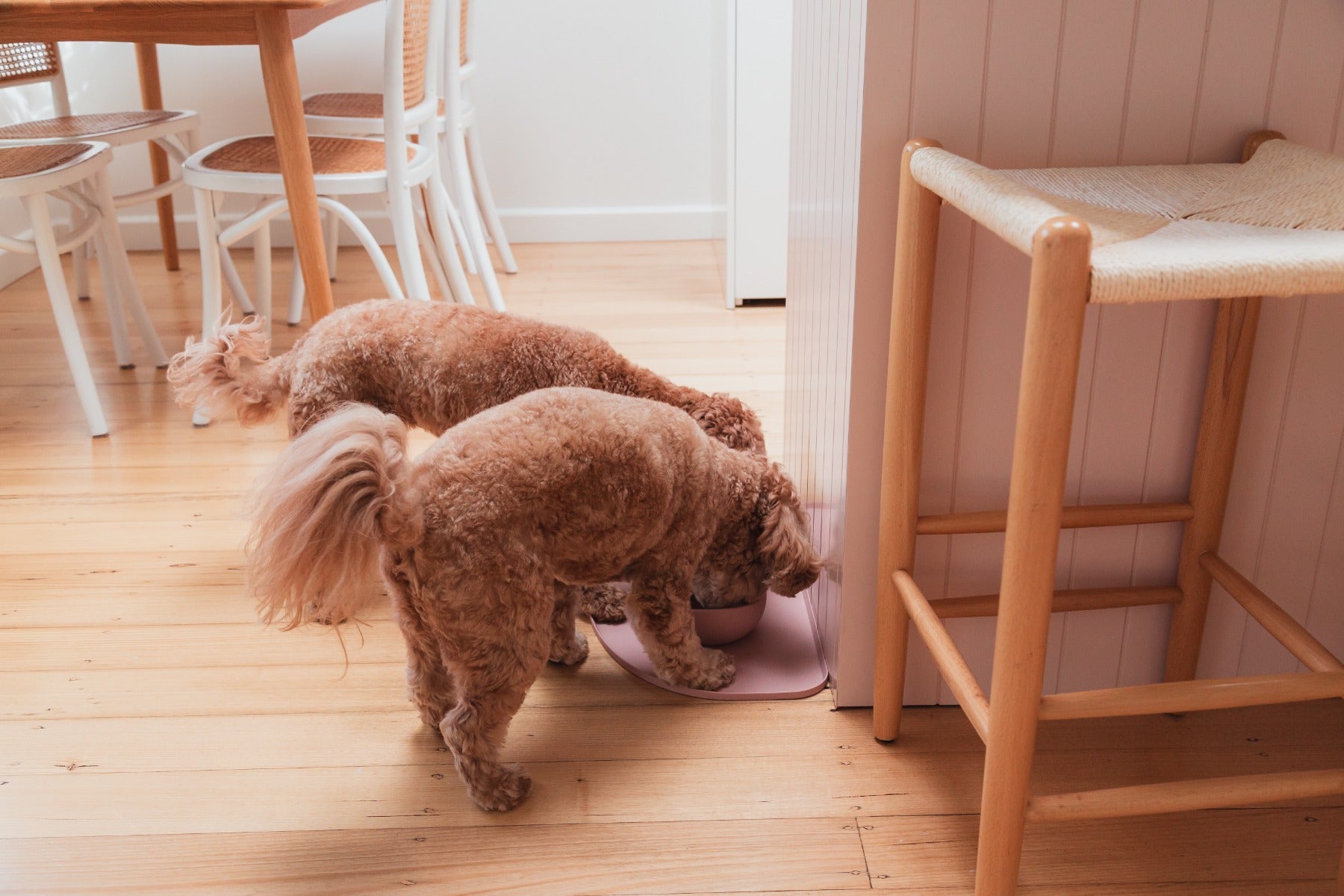 FuzzYard Life Silicone Feeding Mat - Soft Blush