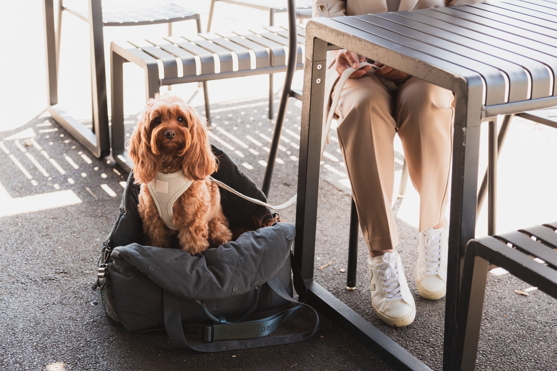FuzzYard Life Multipurpose Carrier & Car Seat - Slate Grey