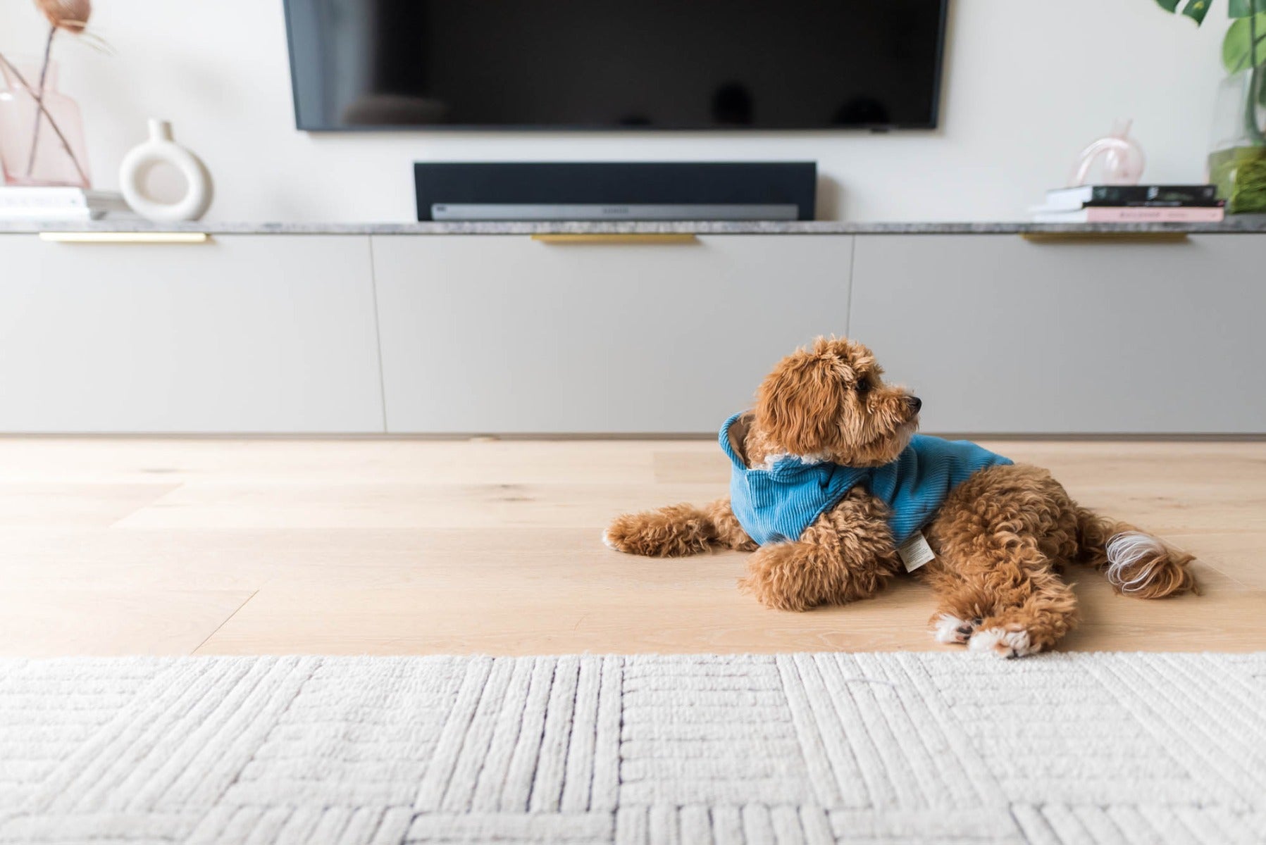 FuzzYard Life Corduroy Jacket - French Blue by FuzzYard Life
