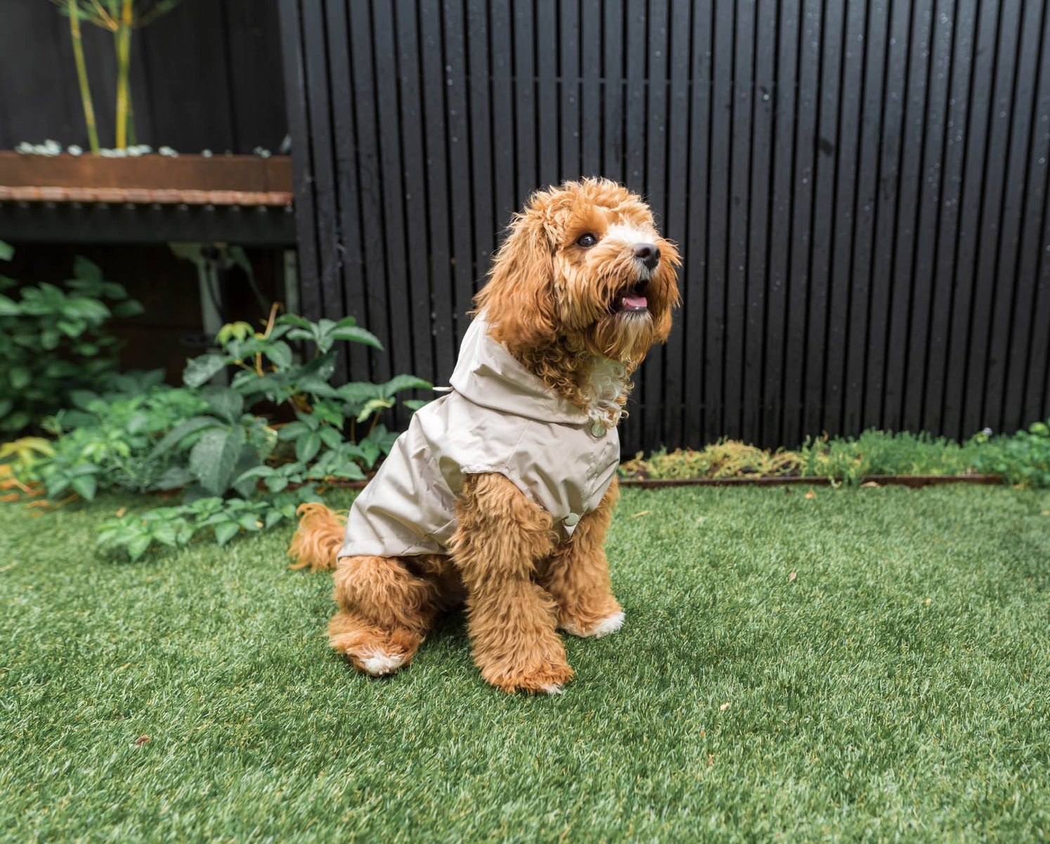 FuzzYard Life Raincoat - Sandstone by FuzzYard Life