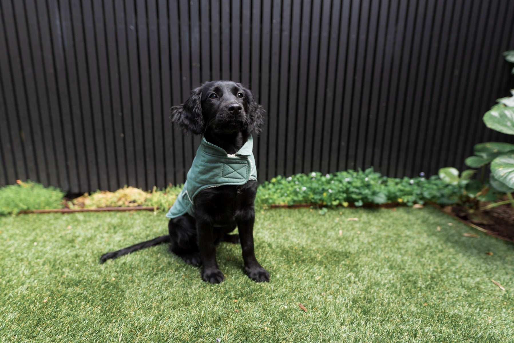 FuzzYard Life Quilted Cotton Wrap Vest - Myrtle Green by FuzzYard Life