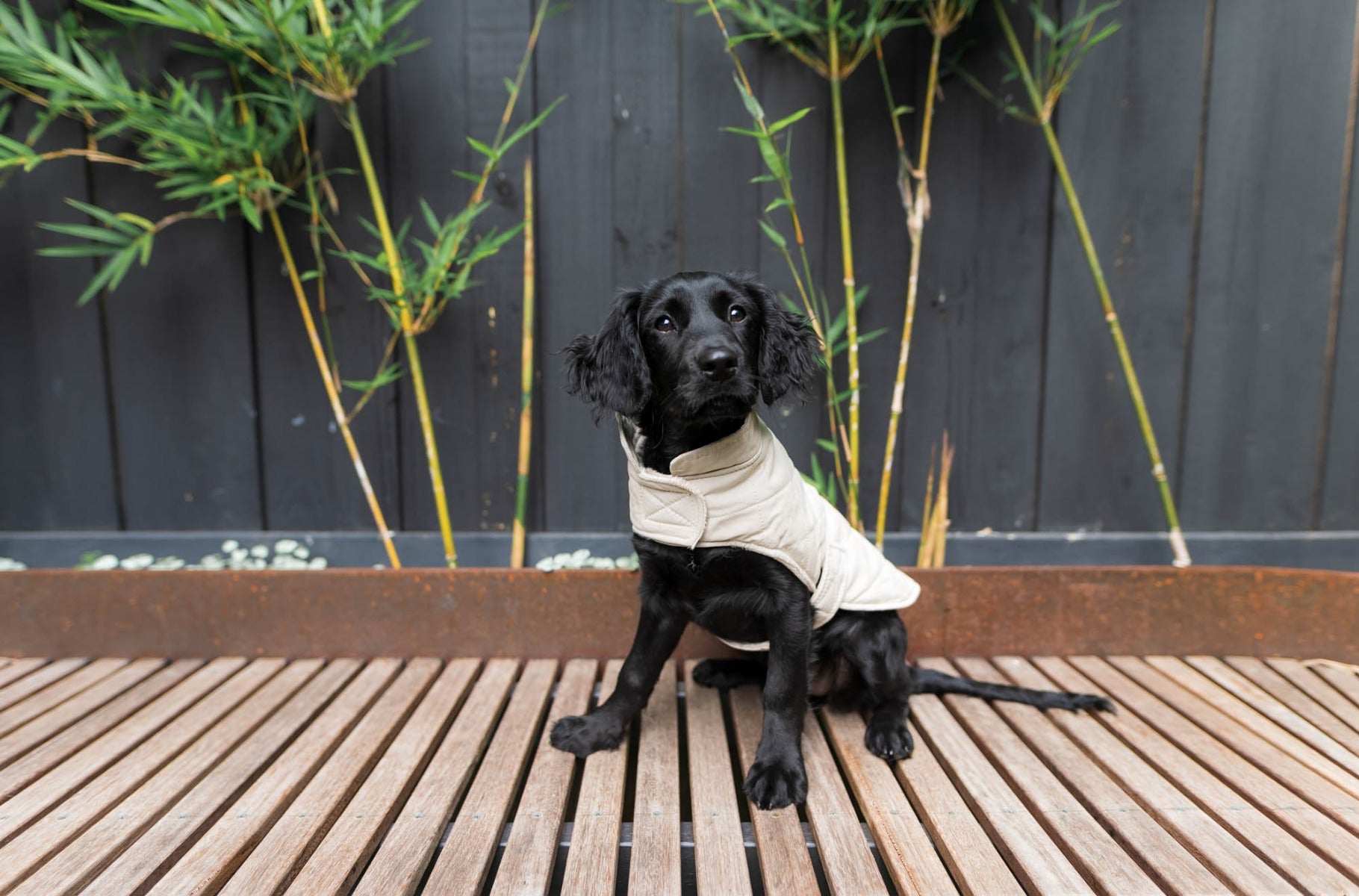 FuzzYard Life Quilted Cotton Wrap Vest - Sandstone by FuzzYard Life