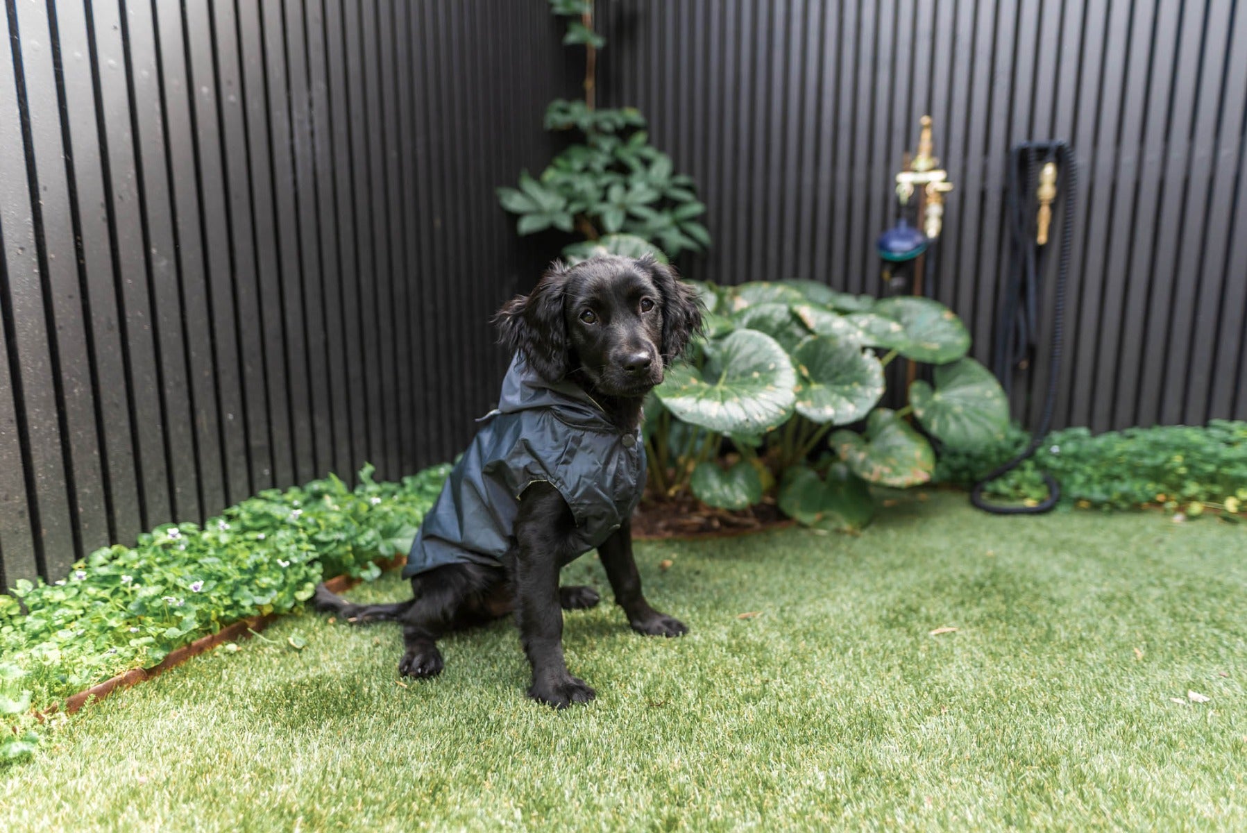 FuzzYard Life Raincoat - Slate Grey by FuzzYard Life