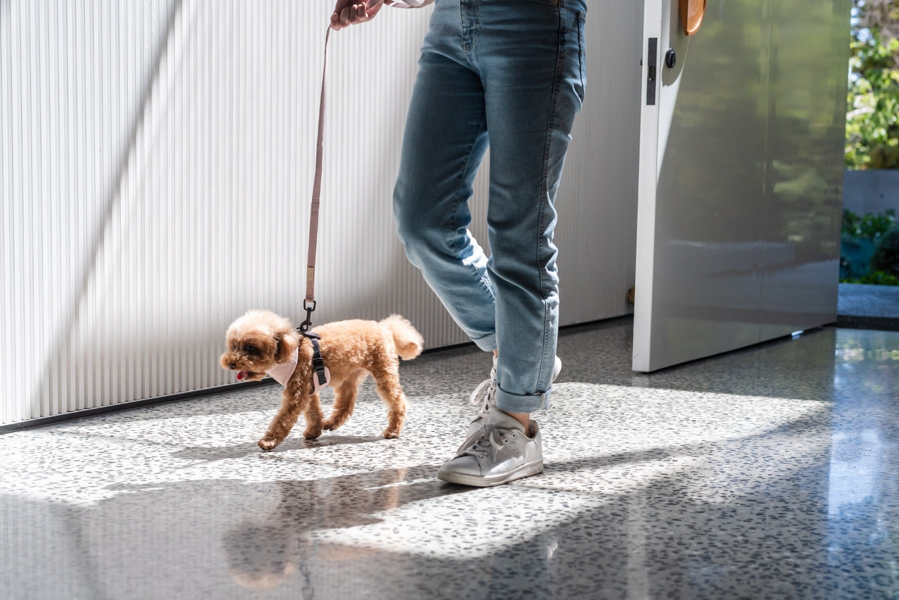 FuzzYard Life Harness - Soft Blush