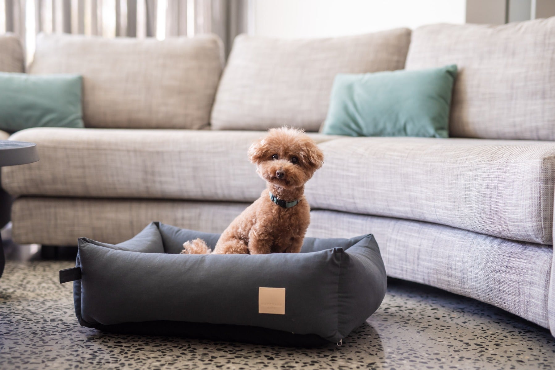 FuzzYard Life Bed - Pet Cotton Bed - Slate Grey