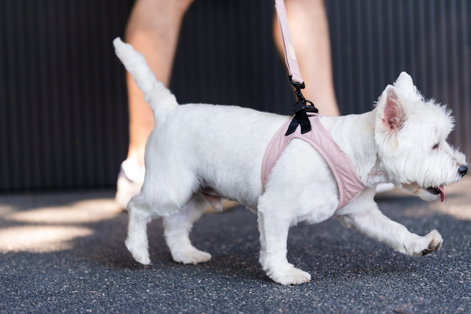 FuzzYard Life Step In Harness - Soft Blush