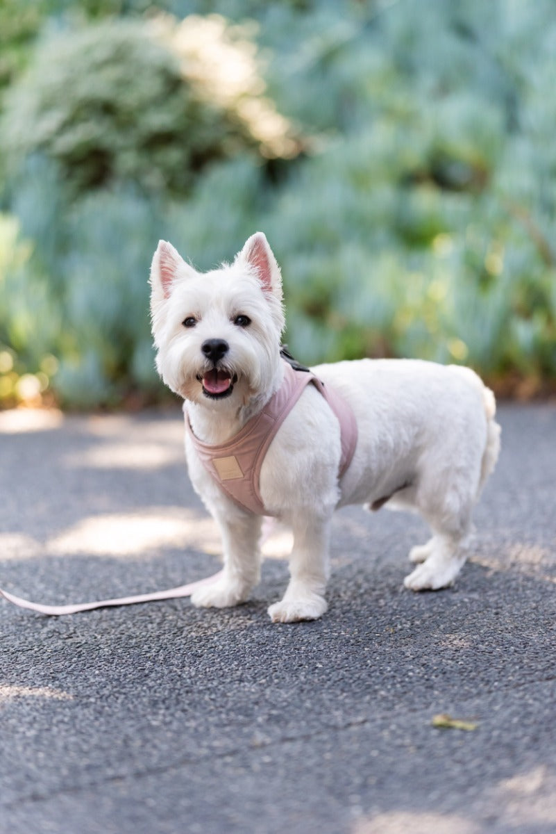 FuzzYard Life Step In Harness - Soft Blush