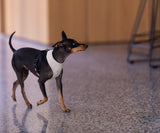 FuzzYard Life Harness - Sandstone