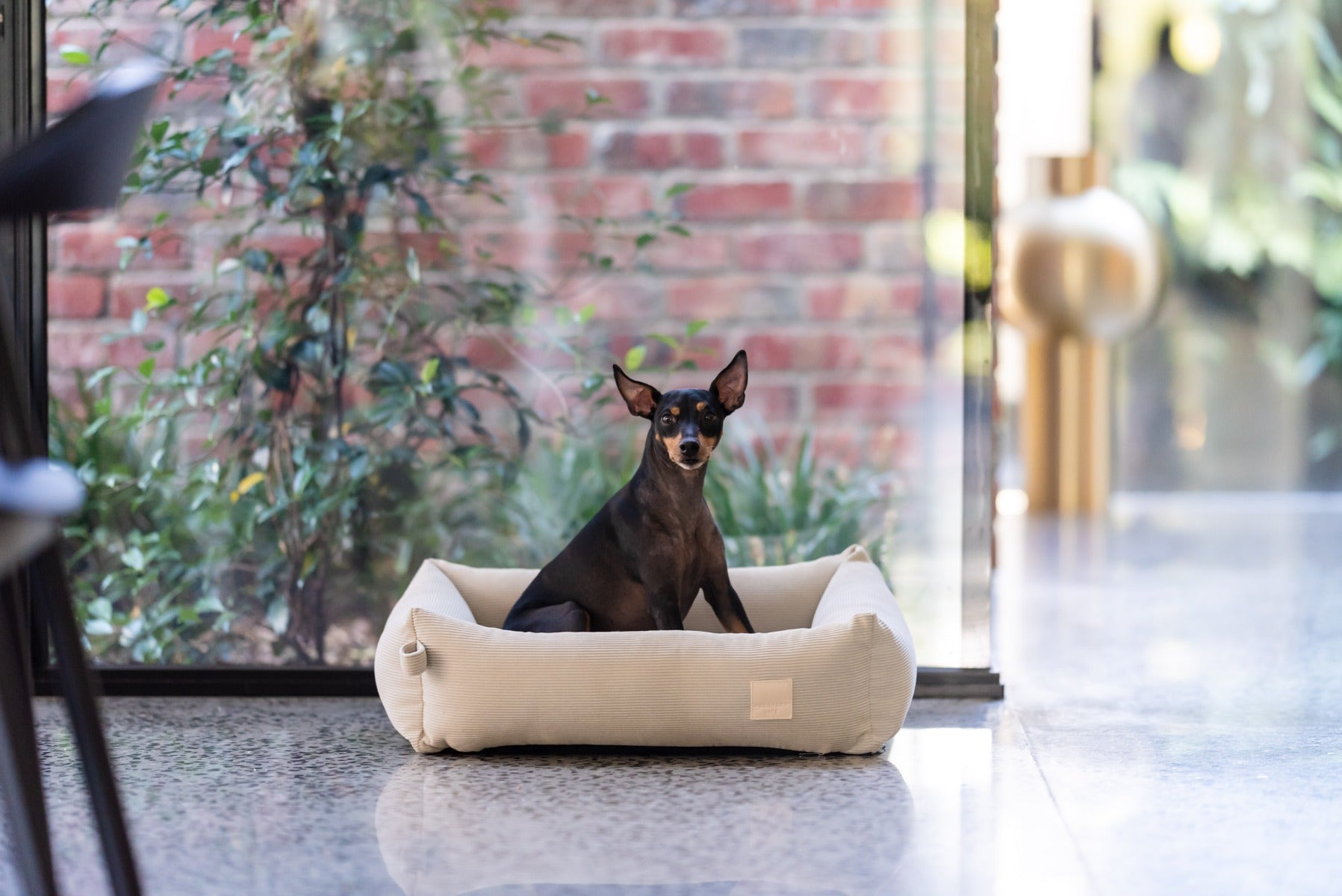 FuzzYard Life Pet Bed - Corduroy Bed - Sandstone