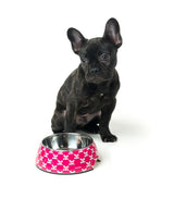 Bad To The Bone - Easy Feeder Pet Bowl
