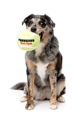 Tennis Ball - Dog Toy by FuzzYard