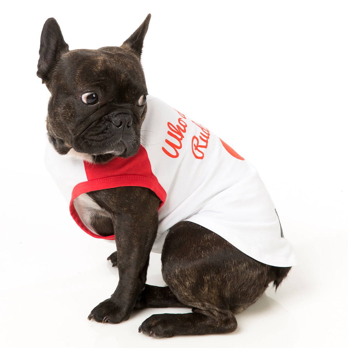 FuzzYard St Nick Christmas Tshirt for dogs